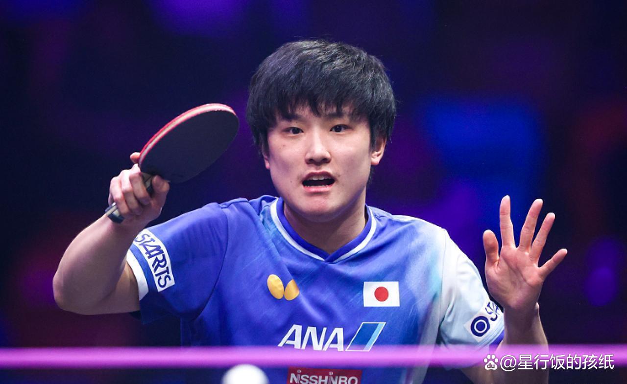 奥地利队绝杀英格兰队,张本智和高光表现 奥地利队绝杀英格兰队,张本智和高光表现