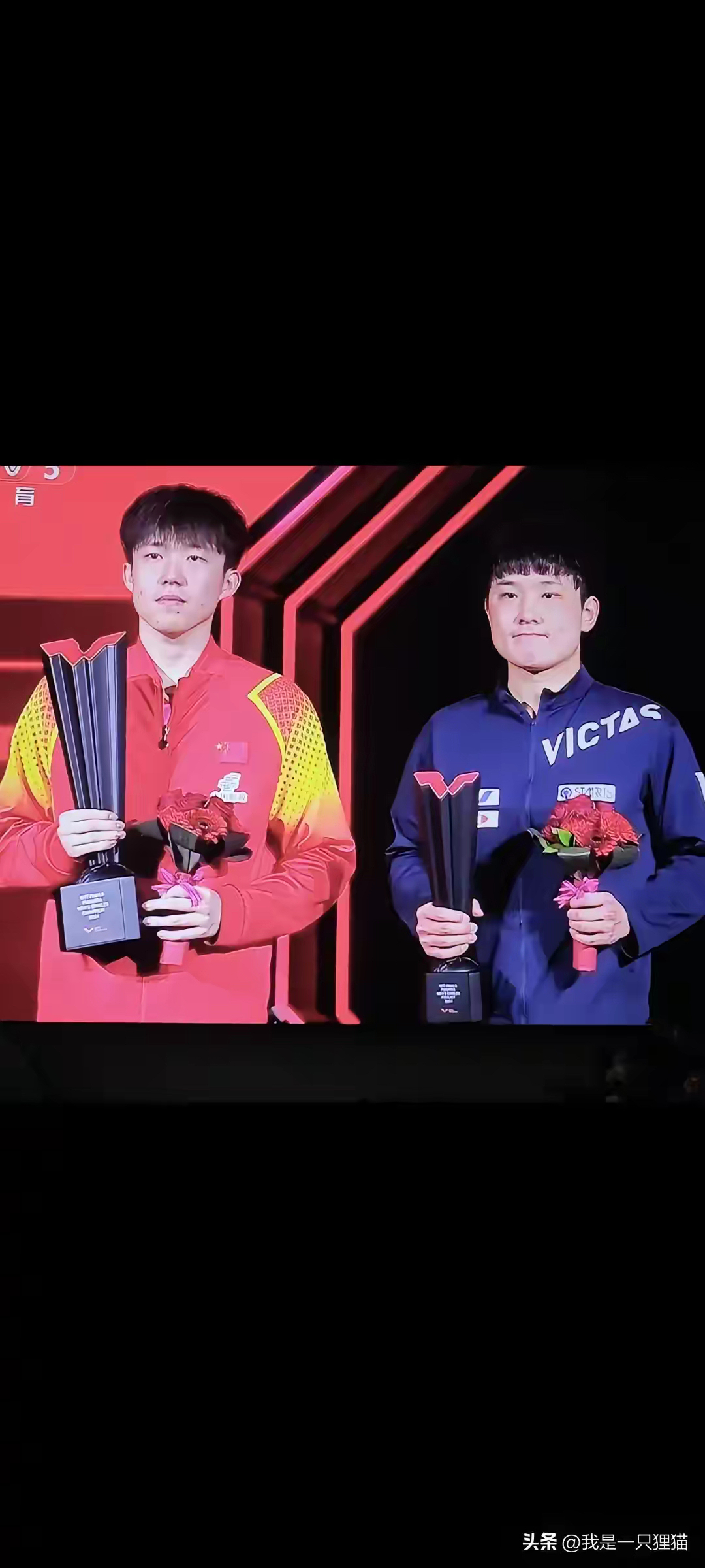 奥地利队绝杀英格兰队,张本智和高光表现 奥地利队绝杀英格兰队,张本智和高光表现